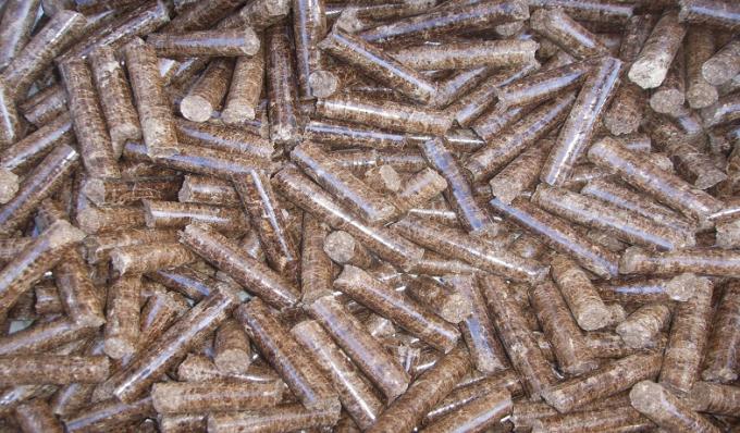 Flach stirbt Biomasse, welche die hölzernen Kugel-Maschinen/, die hölzerne Kugeln machen zu Hause, Motorantriebs wählen
